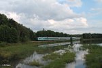 223 063 zieht kurz vor Wiesau mit dem ALX84112 München - Hof.