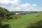 223 066 zieht den ALX84106 Hof - München bei Escheldorf.