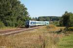 223 081 mit dem ALX RE2 79861 München - Hof in Reuth bei Erbendorf.