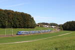 430 003 war am 7. Oktober 2024 bei Axdorf in Richtung Rosenheim unterwegs.