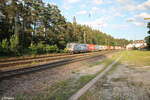 6193 813 zieht mit einem Containerzug durch Ochenbruck in Richtung Nürnberg.