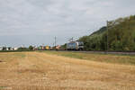 6193 117-9 zieht ein Containerzug in Richtung Bamberg bei Zeil am Main. 01.08.24