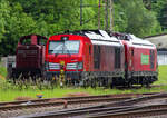 Abgestellt unter der Langenauer Brücke in Kreuztal (nahe dem Rbf) sind am 21 Mai 2024, von links nach rechts die Loks der DB Cargo AG:  Die remotorisierte V90 – 294 715-8, ex 294 215-9, ex