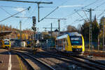 Der VT 208 ABp (95 80 0640 108-6 D-HLB), ein Alstom Coradia LINT 27 der HLB, ex vectus VT 208, verlässt am 09.11.2021 nun als RB 90  Westerwald-Sieg-Bahn  (Betzdorf – Au - Altenkirchen) den