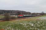 223 032-4 zieht ein Kesselzug nach Cheb bei Lengenfeld.