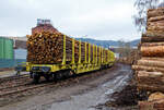 Holztransport im Siegerland: Gewaltige Forstschäden an dem kompletten Fichtenbestand durch den Borkenkäfer sind in der Region zu beobachten.