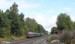 216 224-6 Überführt als DPE 62064 eine schwedische Dampflok B1135 von Rostock nach Augsburg bei Waldershof.