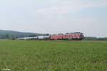 232 238 und 232 673 ziehen ein Kesselzug von Bitterfeld nach Sand an der Donau bei Oberteich.