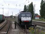 E189 906 wartet in Frankfurt/oder auf neue aufgaben.