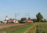 X4E 871 alais 193 871 zieht ein Containerzug bei moosham in Richtung Norden.