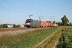 X4E 871 alais 193 871 zieht ein Containerzug bei moosham in Richtung Norden.