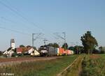 X4E 601 alias 193 601 mit einem Containerzug bei Moosham in Richtung Nürnberg.