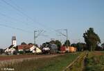 X4E -648 alias 193 648 mit einem Containerzug bei Moosham in Richtung Nürnberg.