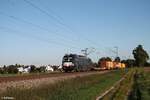 X4E -648 alias 193 648 mit einem Containerzug bei Moosham in Richtung Nürnberg.