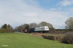 223 143 rollt langsam mit dem Wiesau Containerzug bei Schönfeld ihrem Ziel entgegen.