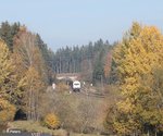 223 143 zieht den Wiesau Containerzug bei Oberteich.