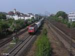 482 039-5 durchfhrt Regensburg mit ein Containerzug.