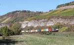 ES 64 F4 997  Wir bringen die Kraft von 8.500 Pfernden auf die Schiene  zieht den DGS 59907 Hamburg Waltershof Dragenau - München Laim Rbf Containerzug bei Himmelstadt 13.10.18