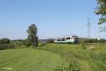 VT21 als OPB20881 Marktredwitz - Cheb beim Seußener Viadukt.