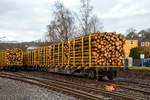 Drehgestell-Flachwagen mit vier Radstzen und Niederbindeeinrichtung, 81 80 4723 154-8 D-TWA, der Gattung Snps, der TRANSWAGGON GmbH, beladen mit Fichten-Rundholz abgestellt am 30.12.2020 in