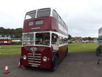 JWS 594  1953 Guy Arab II  Duple H31/24R  Edinburgh Corporation 314    Photographed at the Scottish Vintage Bus Museum, Lathalmond, Fife, Scotland on 16th August 2014.