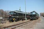 232 083 der EBS und 232 704 SkinesRail in Marktredwitz. 25.03.22