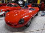 (150'018) - Jaguar am 25.