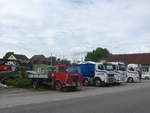 (217'703) - N�ssli, Agasul - FBW am 8.