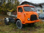 (257'002) - Steyr am 14. November 2023 in Frutigen