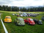(129'275) - VW-K�fer-Treffen in Wachseldorn am 4.