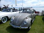(263'002) - VW-K�fer - ZH 19'862 - am 25.