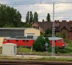 In Saalfeld an der Saale konnte ich eine unbekannt gebliebene Ludmilla fotografieren die sich vor dem Fotografen versteckte.