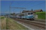 The SNCF BB 22391 mit einem TER von Lyon nach Genève kurz nach Satigny.