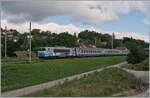 Die SNCF BB 22266 mit ihrem TER ist bei Pougny-Chancy auf dem Weg nach Lyon.