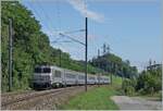 Die SNCF BB 22260 ist mit ihrem TER von Lyon nach Genève kurz nach Pougny-Chancy nur noch wenige Kilometer von der Schweizer Grenze entfernt.