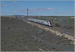 Der SNCF TGV OUiGO Rame 813 ist bei Bujaraloz auf der Schnellfahrstrecke von Madrid nach Barcelona unterwegs.