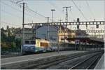 Die SNCF BB 22393 hat mit ihrem TER von Lyon ihr Ziel Genève erreicht.