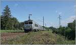 In der Gegenrichtung erreicht die SNCF BB 22355 mit ihrem TER nach Lyon die Fotostelle bei Pougny-Chancy.