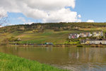 . Frhling an der Mosel - Im luxemburgischen Machtum hat man eine tolle Sicht auf die Obermoselstrecke, welche von einer SNCF Prima mit einem Gterzug am Haken kurz vor Nittel befahren wird. 17.04.2016 (Jeanny)