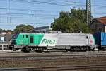 437024 Fretchen von ITL mit Blauerwand am 01.09.11 in Fulda