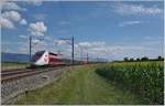 Der TGV Lyria 4721 auf dem Weg von Paris nach Lausanne kurz vor Arnex und somit schon fast am Ziel seiner Reise.