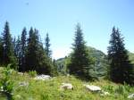 (134'503) - Tannen im Stockhorngebiet am 26.