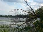 (152'696) - Am Lily Lake am 13.