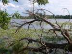 (152'698) - Am Lily Lake am 13.