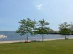 (153'036) - B�ume am Hafen von Milwaukee am 17.