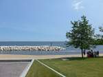 (153'039) Baum am Lake Michigan am 17.