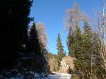 (167'637) - Waldstr�sschen bei Tenna am 5.