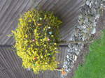 (179'333) - Osterbaum am 2.
