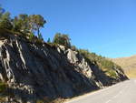 (185'302) - B�ume auf dem Felsen am 27.