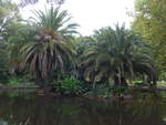 (190'160) - Im Queen Victoria Garden am 17.